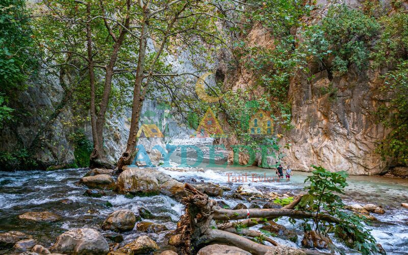 Seydikemer Güvenilir Villa Kiralama 