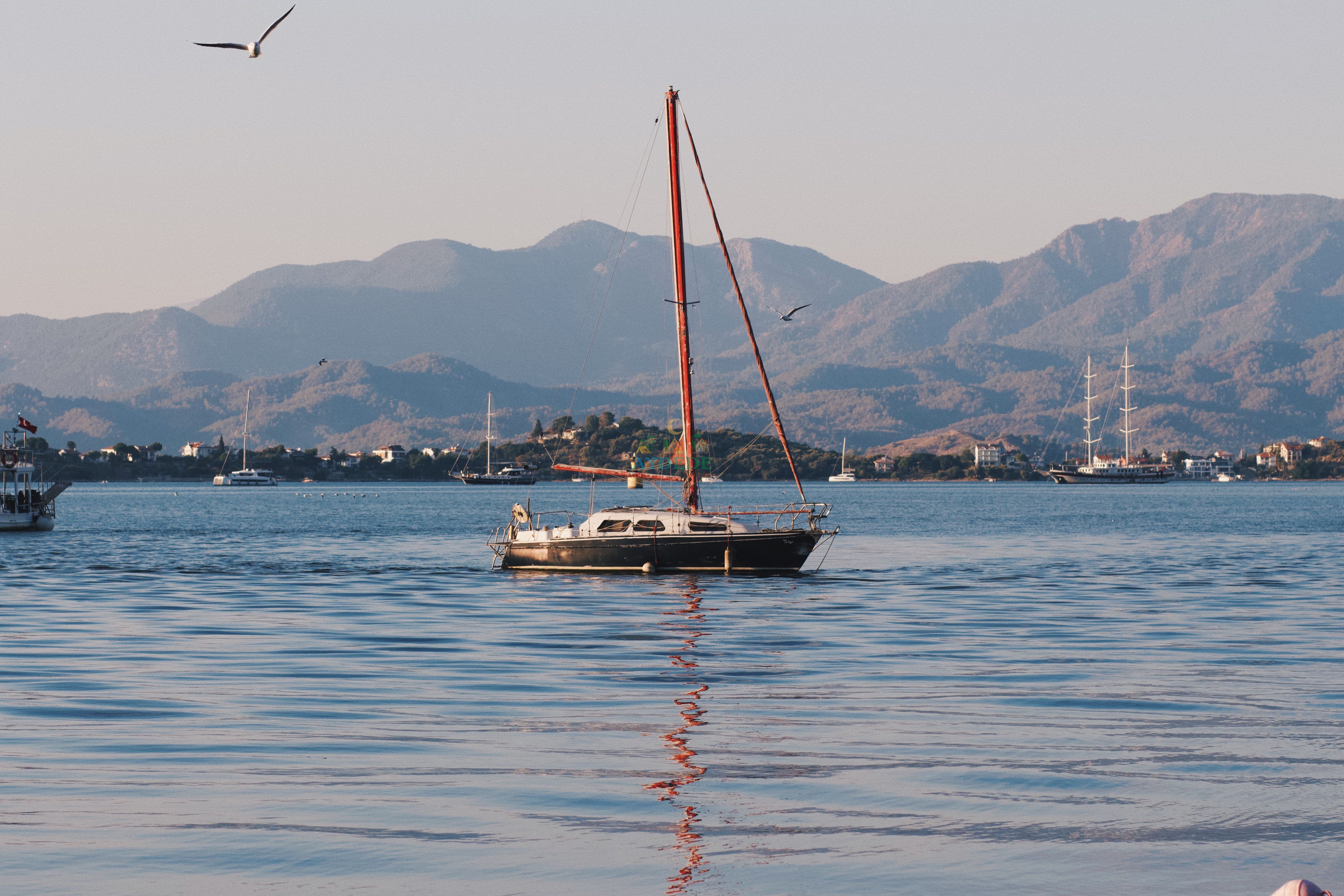 Fethiye mi, Kaş mı, Kalkan mı? 2026 Bölge Rehberi