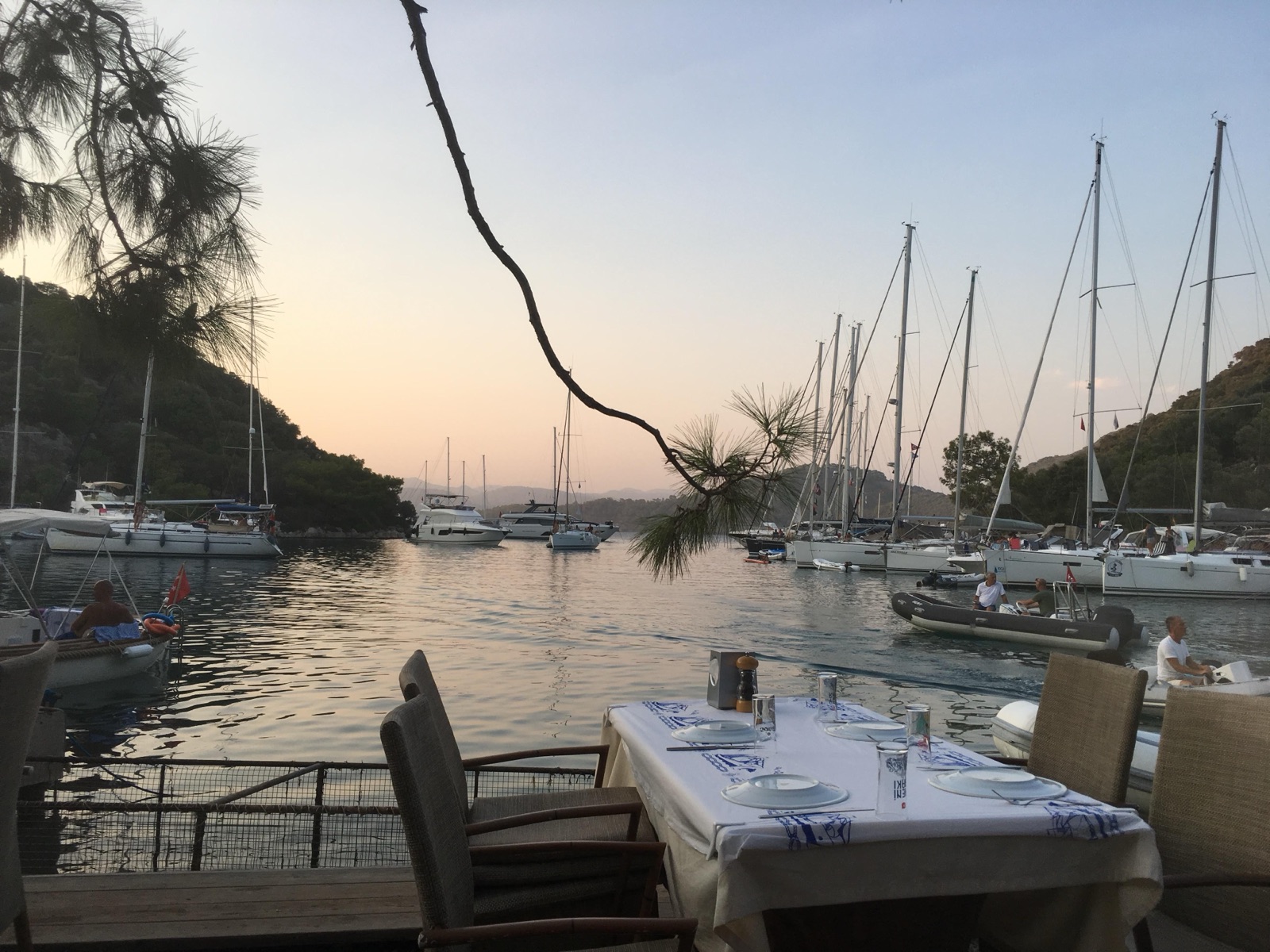 Göcek Körfezi'nde adacık ve kıyı bitki örtüsü dokusu