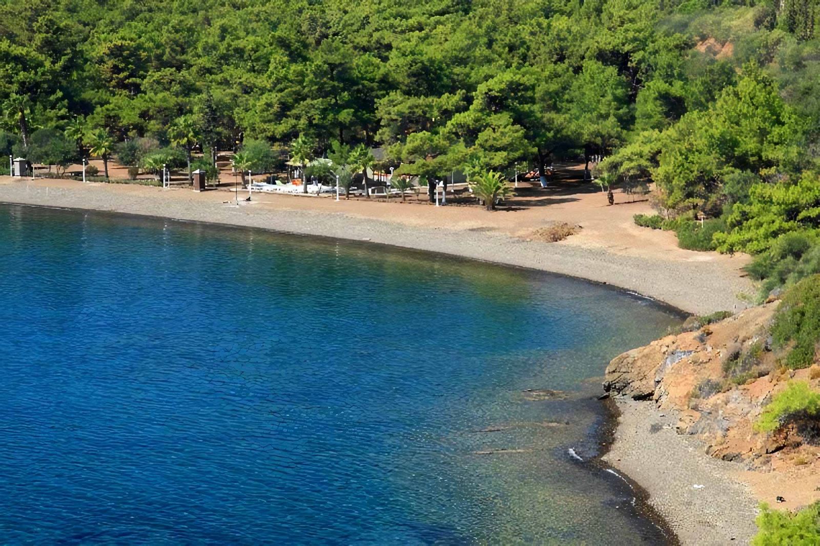 sakin bir katran koyu günü