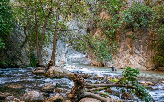 Seydikemer Güvenilir Villa Kiralama 