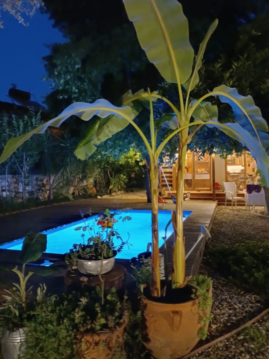 Villa Botanik’in Göcek İnlice’de doğa ile iç içe özel havuzlu bohem konsept bahçe alanından akşam görünümü