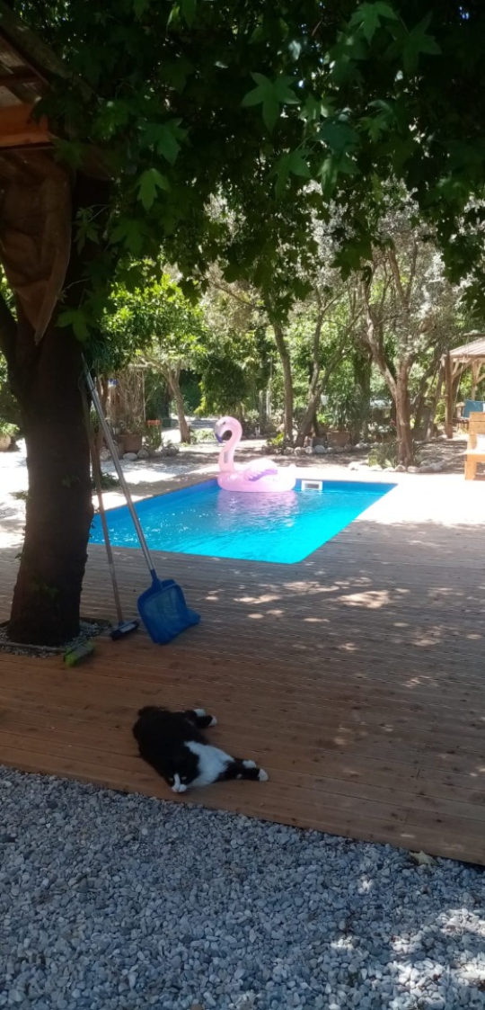 Villa Botanik Göcek İnlice’de özel yüzme havuzu ve geniş ahşap güneşlenme alanı ile huzurlu tatil imkânı