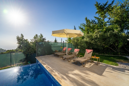 Seydikemer Villa Apilla’nın özel havuzu, şezlongları, şemsiyesi ve doğayla çevrili korunaklı bahçe alanı.